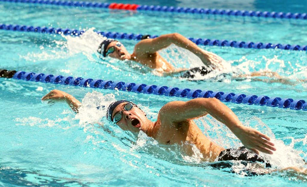 Hộp đen dữ liệu của bơi lội Việt Nam: Một tấm huy chương SEA Games không nói được mấy giây đã đi đâu Hộp đen dữ liệu của bơi lội Việt Nam: Một tấm huy chương SEA Games không nói được mấy giây đã đi đâu